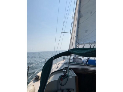 84 Irwin 31 Citation sailboat for sale in Connecticut