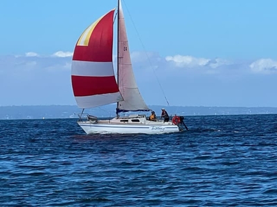 Austral 24 Trailer Sailer