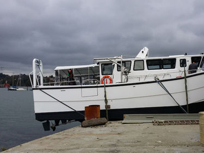 Dive support boat - Gnarly - Catapult Catamarans Marine Projects Ltd - catamaran / inboard