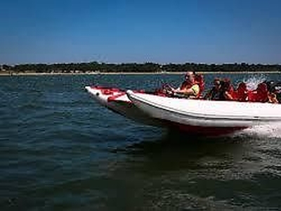 Pro Cat Rigid Inflatable Boat