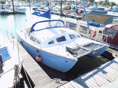 For Sale: 1978 Heavenly Twins 26
