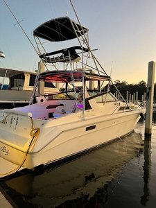 SeaRay 420 With Upgraded Recent Rebuilt 435HP Motors