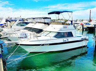 Bayliner 2556 Ciera Command Bridge