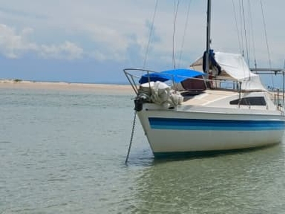 Trailer sailer Sonata 7