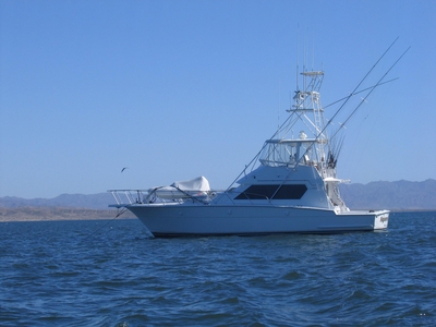 1988 Hatteras 48 Convertible SQUARED AWAY | 48ft