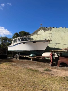 Boat, 36 foot cabin cruiser