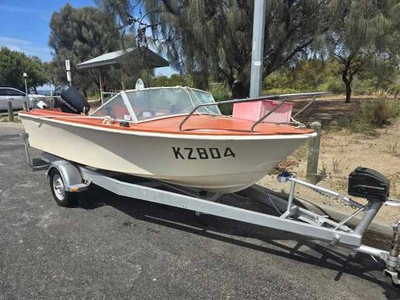 Stejcraft Runabout with 2006 50hp Evinrude motor