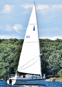 1986 Nonsuch 22 Hub Punch | 22ft