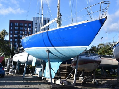 For Sale: 1969 Rancher 41