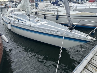 Luffe 37 (1988) for sale