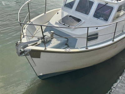 Newhaven Sea Warrior (1993) for sale
