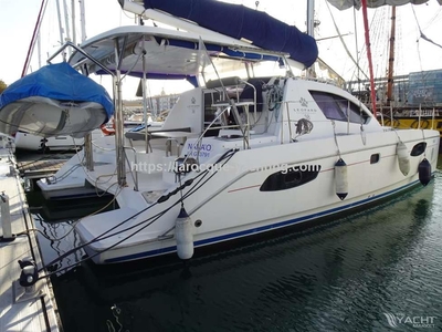 ROBERTSON AND CAINE LEOPARD 38 (2010) for sale