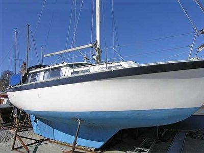 For Sale: Trident Voyager 30 (available)