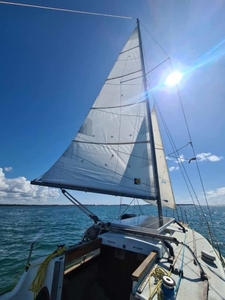 Refurbished Roberts 25 sailboat - Roomie with a great engine!