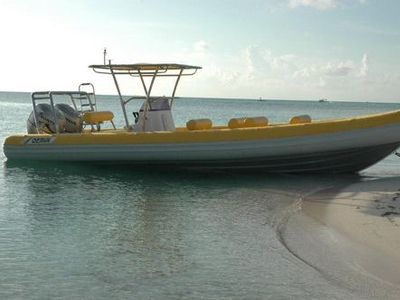 Sightseeing boat - WAVERIDER 880 - GEMINI - outboard / rigid hull inflatable boat