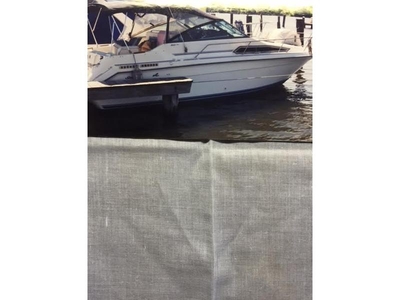 1989 Sea Ray 250 Sundancer powerboat for sale in Maryland