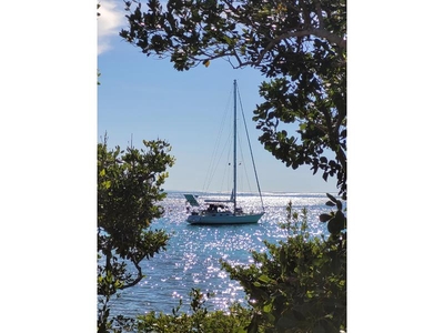 1982 Queen Long Marine Stevens 47 sailboat for sale in Florida