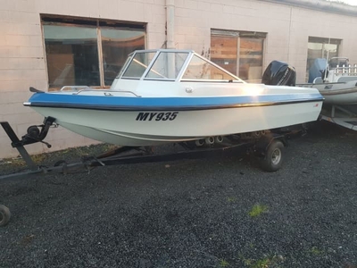 Caribbean Bell Boy Runabout Mercury 60 4 Stroke ONLY 55 Hours