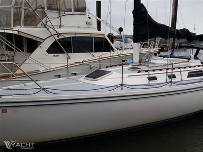Catalina 36 TR WK (1990) for sale