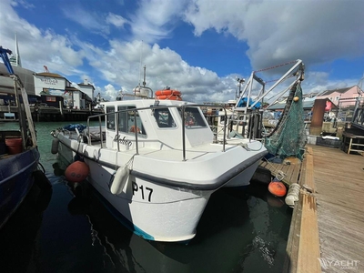 Catamaran 9.8m Colne Catamaran (2016) for sale