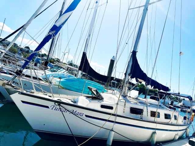 Sailing Boat for Sale