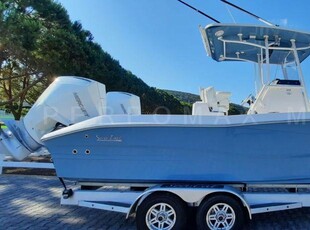 2021 Sea Cat 260 Hybrid Catamaran | 25ft
