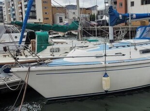 For Sale: 1981 Westerly Griffon 26
