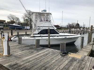 1981 Bertram 35 Sport Fish powerboat for sale in New York