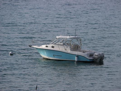 2007 Seaswirl 2901 Striper
