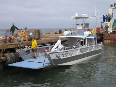 Landing craft - Workstar 13 - Pacific Workboats cc - inboard / aluminum