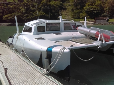 Crowther Catamaran Custom