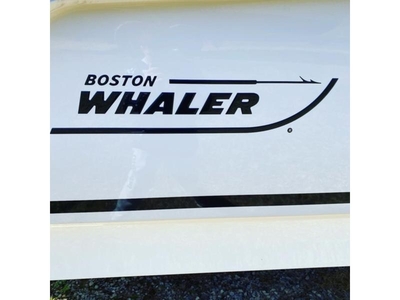 2021 Boston Whaler 250 Outrage powerboat for sale in New Jersey