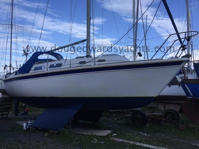 For Sale: Westerly Griffon