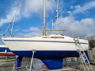 For Sale: 1978 Seamaster 815