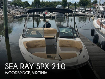 Sea Ray SPX 210 (powerboat) for sale