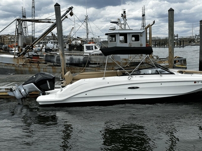 2021 Sea Ray 250 SDX OB Roro Your Boat | 25ft