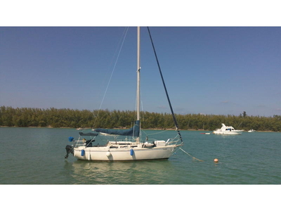1981 catalina sailboat for sale in Florida