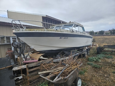 Reinell 24' Boat Located In Livermore, CA - Has Trailer