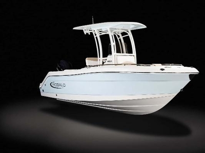 2024 Robalo R222 Center Console