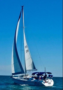 Catalina 350
