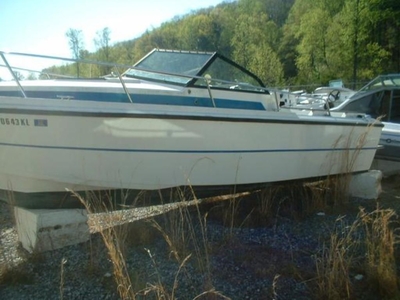 Cobia Boats 228 Odyssey 1983