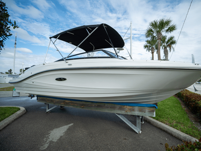 Sea Ray SPX 230 Outboard 2024