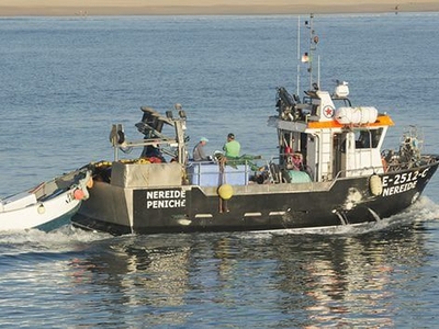 Tuna seiner - 12M - Estaleiros Navais de Peniche - inboard / GRP