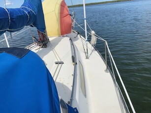 1972 C&C sailboat for sale in Florida