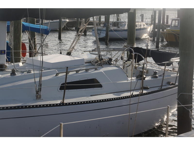 1974 Morgan 33T sailboat for sale in Florida
