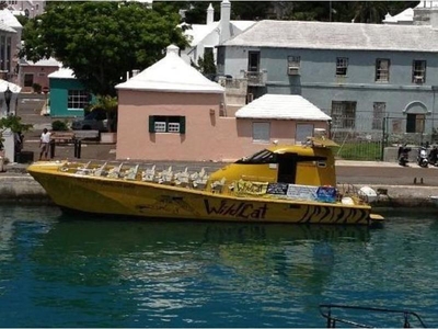 2000 Cougar Wildcat Power Catamaran powerboat for sale in