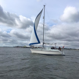 For Sale: Stag 28