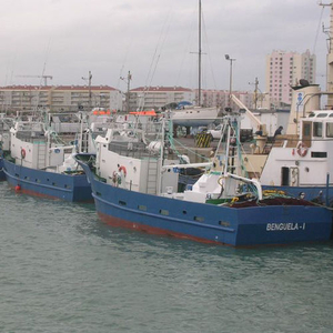 Professional fishing boat - 19M - Estaleiros Navais de Peniche - inboard