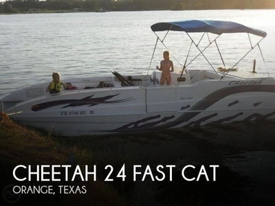 Cheetah 24 Fast Cat