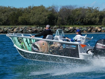 NEW Bluefin 5.00 Barracuda